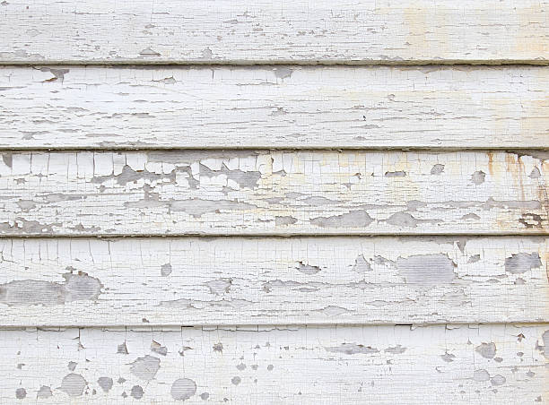 Best Hoarding Cleanup  in Boulevard Park, WA